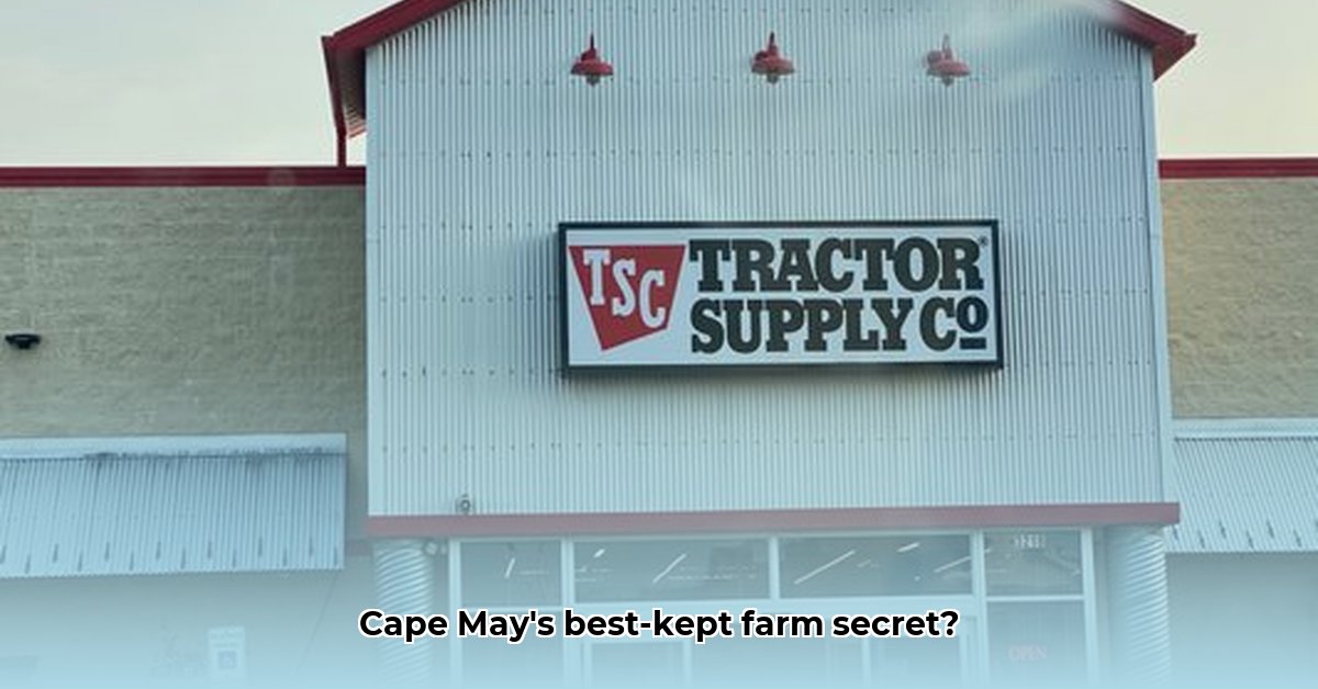 tractor-supply-cape-may